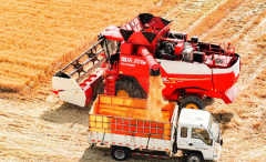 聪慧农业的成长按下了“加快键”